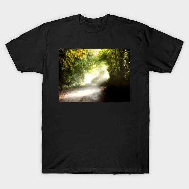 Autumnal Light T-Shirt by rosedew